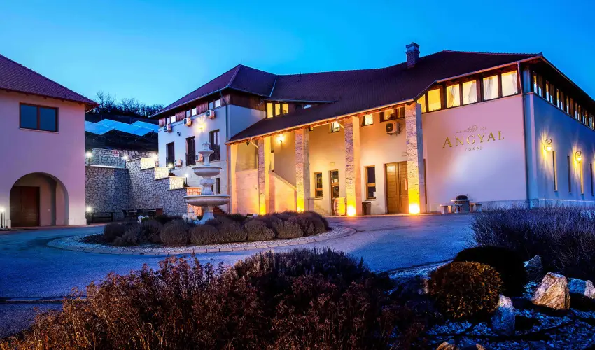 Angyal Borszat Rtka - All Inclusive Tokaj Hegyaljai Diszntoros Htvgk (min. 2 j)