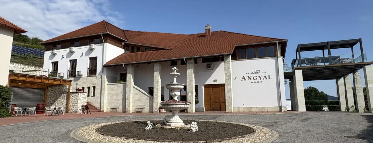 Angyal Borszat Rtka - lmnyszret teljes elltssal Tokaj- Hegyaljn az Angyal borszatnl (min. 2 j)