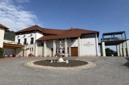 Angyal Borszat - lmnyszret teljes elltssal Tokaj- Hegyaljn az Angyal borszatnl (min. 2 j)