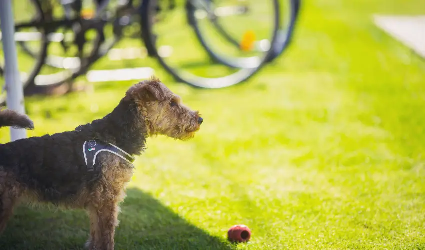 Apartman Szanyi Bk, Bkfrd - Nyugdjas kedvezmnyes rak (min. 2 j)