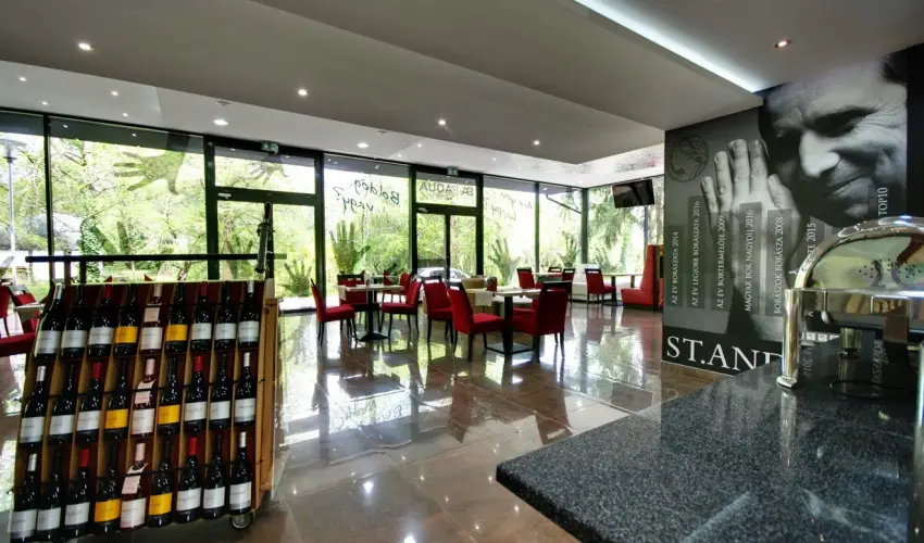 Aqua Hotel Gyula - AquaPalota csomag (min. 2 j)