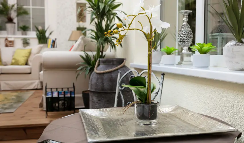 Aquasol Resort Mosonmagyarvr - Nyugdjas kedvezmnyes r reggelivel, frdbelpvel (1 jtl)