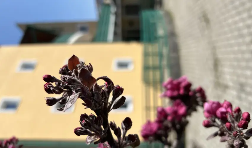 Aquatherm Hotel Zalakaros - Kedvezmnyes ajnlat (min. 5 j)