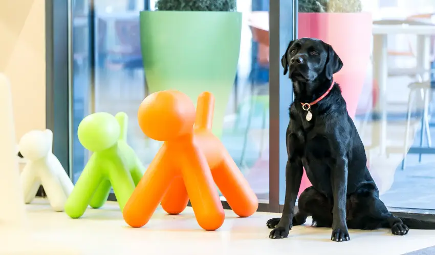 Art Hotel Szeged Szeged - El�refizet�si kedvezm�ny (1 �jt�l)