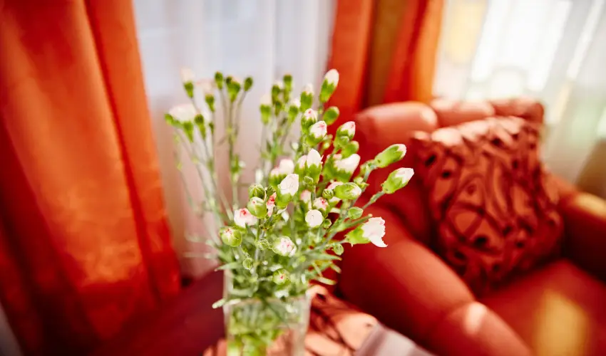 Astoria Hotel �s �tterem Balatonf�red - Nyugd�jas kedvezm�nyes �rak f�lpanzi�s ell�t�ssal (1 �jt�l)