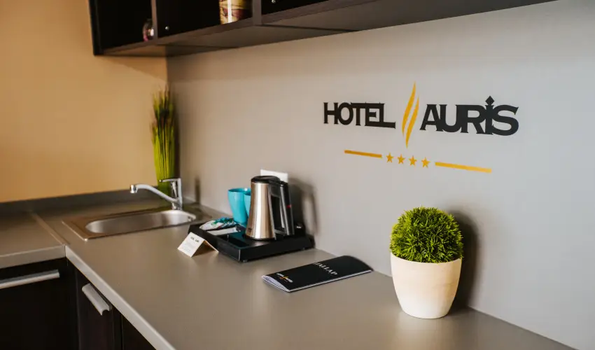 Auris Hotel Szeged Szeged - Nyugd�jas kedvezm�nyes �rak (1 �jt�l)