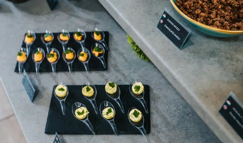 Auris Hotel Szeged Szeged - Nyugd�jas kedvezm�nyes �rak (1 �jt�l)