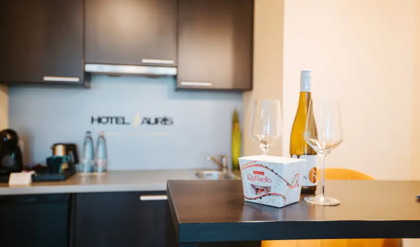 Auris Hotel Szeged Szeged - Nyugd�jas kedvezm�nyes �rak (1 �jt�l)