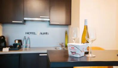 Auris Hotel Szeged Szeged