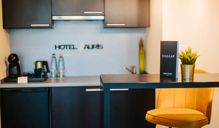 Auris Hotel Szeged Szeged - Nyugd�jas kedvezm�nyes �rak (1 �jt�l)