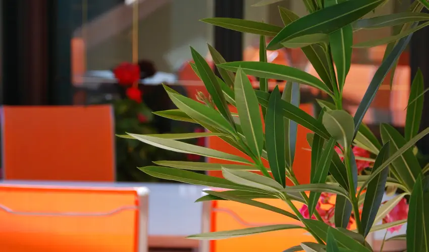 Bacchus Panzi Eger - Nyugdjas kedvezmnyes rak reggelis elltssal (1 jtl)