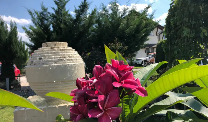 Bagolyvr Inrcs Inrcs - Wellness dls Budapest mellett (1 jtl)