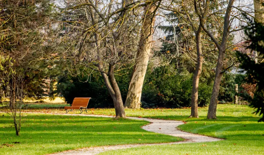 Batthyny Kria Zalacsny - Nyugdjas kedvezmnyes rak flpanzis elltssal (1 jtl)