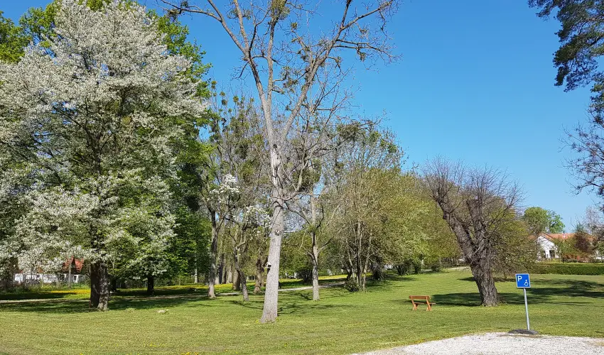 Batthyny Kria Zalacsny - Nyugdjas kedvezmnyes rak flpanzis elltssal (1 jtl)