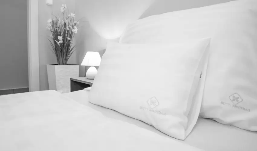 Betty Apartman Hajdszoboszl Hajdszoboszl - Proknak s csaldoknak - flpanzival (min. 2 j)