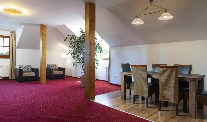 Bodrogi K�ria Wellness Hotel In�rcs - Nyugd�jas kedvezm�nyes �rak f�lpanzi�s ell�t�ssal (1 �jt�l)