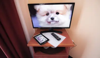 Boglrka Panzi-tterem  Mezkvesd