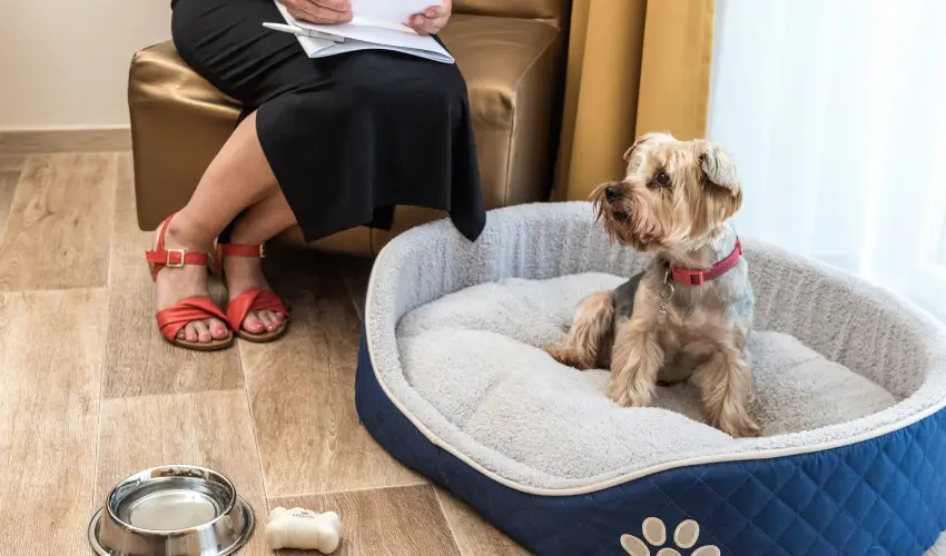 Bonvital Wellness & Gastro Hotel Hvz Hvz - Senior ajnlat (1 jtl)