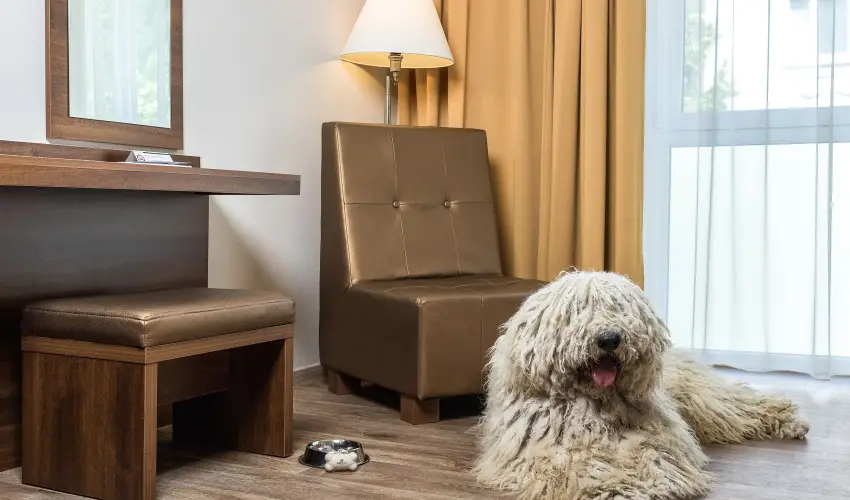 Bonvital Wellness & Gastro Hotel Hvz Hvz - Senior ajnlat (1 jtl)