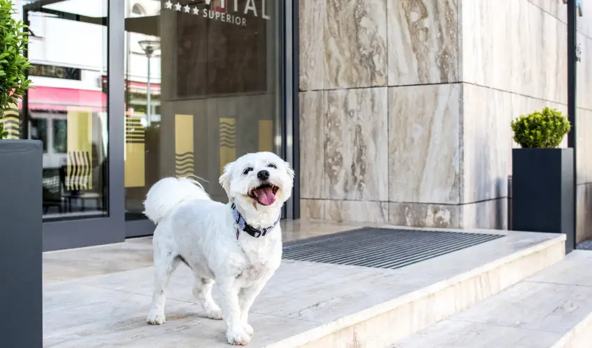 Bonvital Wellness & Gastro Hotel Hvz Hvz - Senior ajnlat (1 jtl)