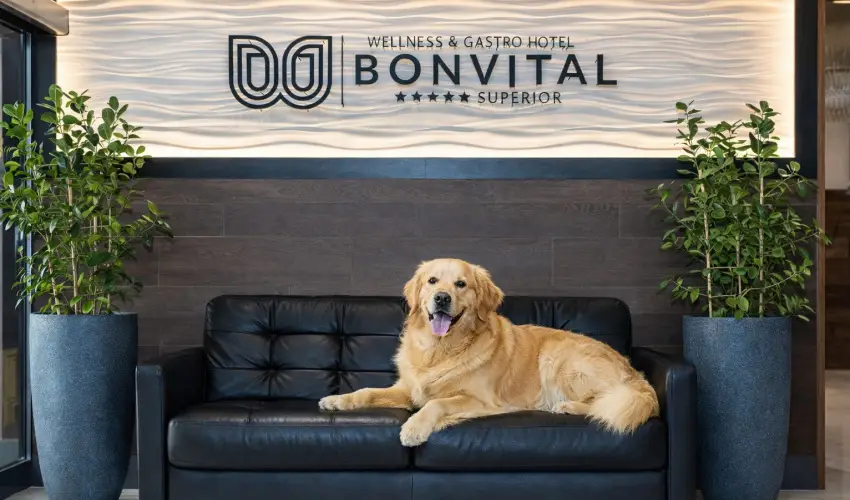 Bonvital Wellness & Gastro Hotel H�v�z H�v�z - Tavaszi felt�lt�d�s  (1 �jt�l)