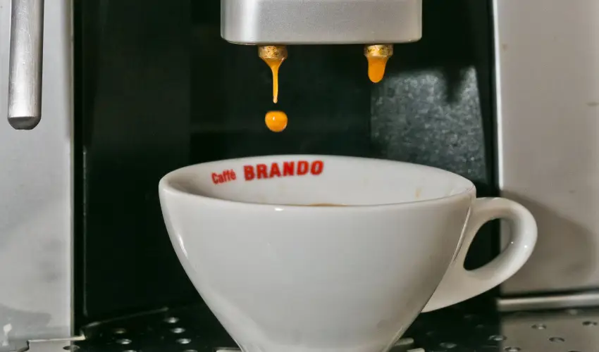 Borka Panzi Pardfrd - Nyugdjas kedvezmnyes rak reggelivel (1 jtl)