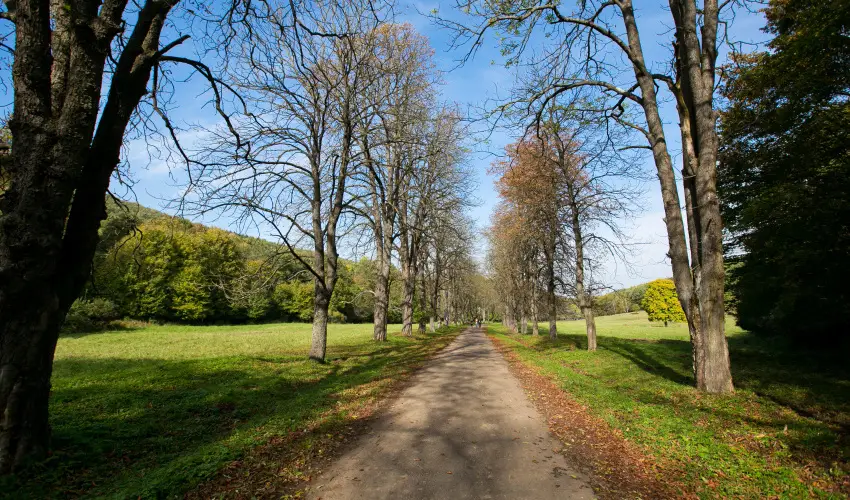 Borka Panzi Pardfrd - Nyugdjas kedvezmnyes rak reggelivel (1 jtl)
