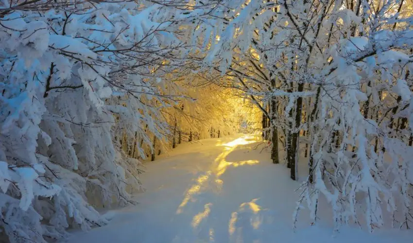 Borka Panzi Pardfrd - Nyugdjas kedvezmnyes rak reggelivel (1 jtl)
