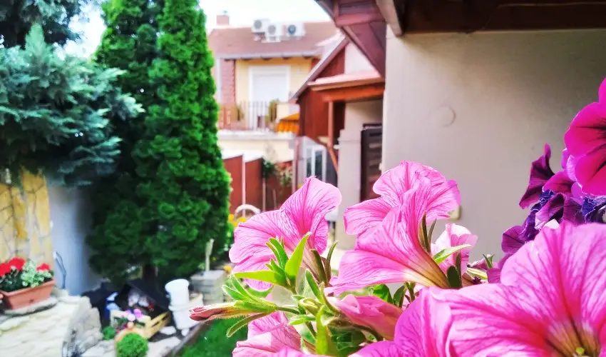 Csobog Vendghz Eger - Legjobb r nelltssal (1 jtl)