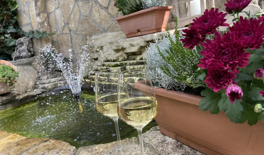 Csobog Vendghz Eger - Legjobb r nelltssal (1 jtl)