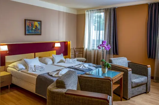 Drva Hotel Thermal Resort, Harkny