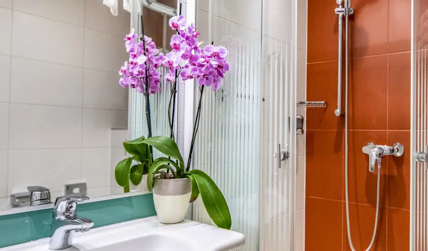Dráva Hotel Thermal Resort Harkány - Harkányi pihenőnapok reggelivel (1 éjtől)