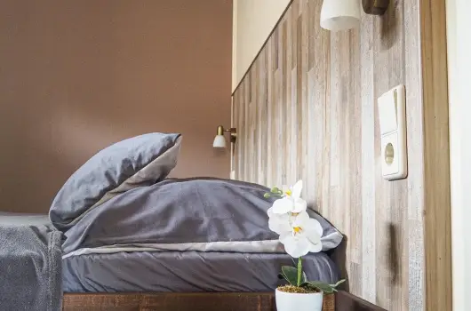 Dream Horse Apartman - Kedvezmnyes ajnlat flpanzis elltssal (min. 2 j)