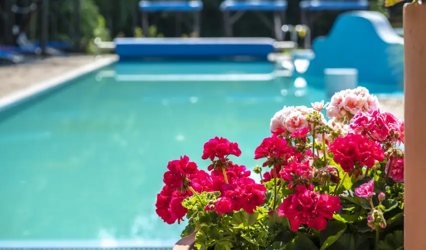 Duna Relax Hotel R�ckeve - Relax Wellness F�lpanzi�val (1 �jt�l)