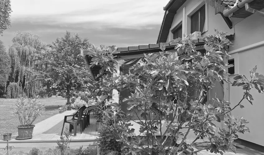 �gerliget Vend�gh�z Hark�ny - Hark�nyi eg�szs�gnapok nyugd�jasoknak (min. 5 �j)