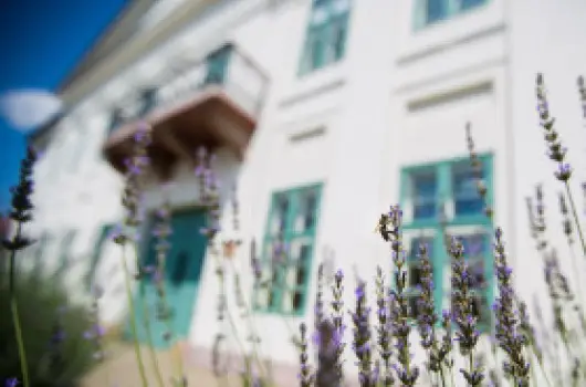 Erzs�bet Nagy Sz�lloda - Tavaszi wellness (min. 2 �j)