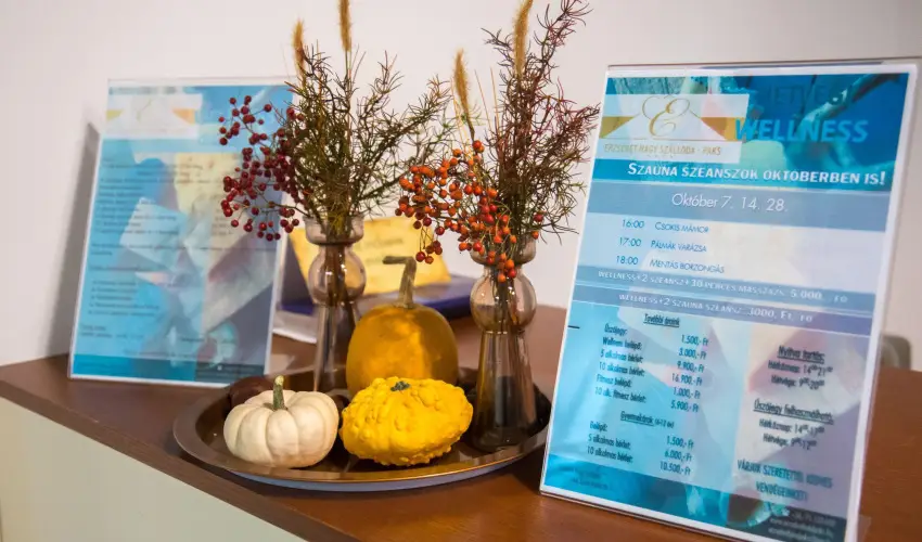 Erzsbet Nagy Szlloda Paks - Senior ajnlat (min. 2 j)