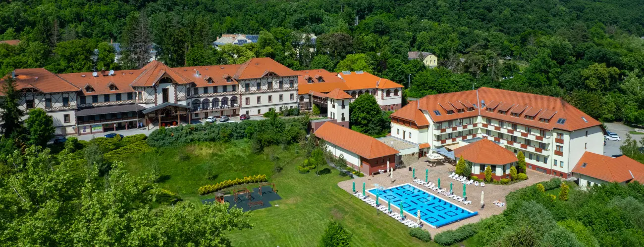Erzsbet Park Hotel Pardfrd - szksznt 20% kedvezmnnyel (2 j)