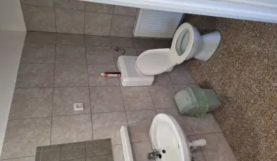 Feny� Panzi� Mez�k�vesd