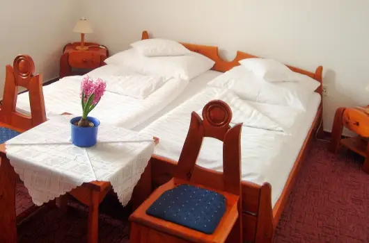 Fodor Hotel - Gyulai h�tk�zi �s h�tv�gi �lom (min. 2 �j)