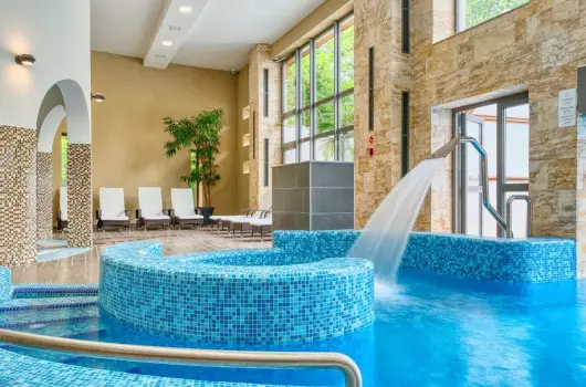 Fnix Wellness Resort, Ngrdgrdony