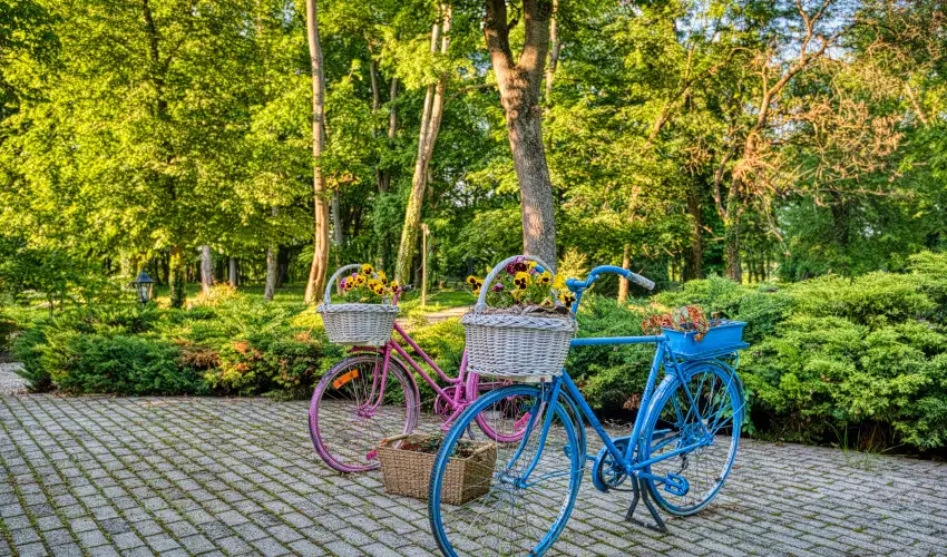 Főnix Wellness Resort Nógrádgárdony - Rejtély a Főnixben (min. 2 éj)