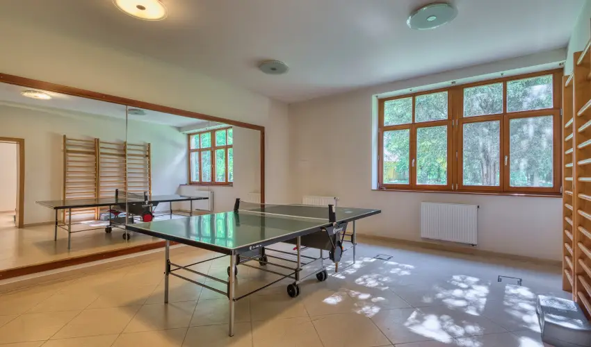 Főnix Wellness Resort Nógrádgárdony - Rejtély a Főnixben (min. 2 éj)