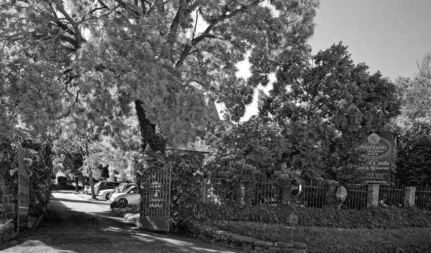 Fried Kastély Hotel Simontornya - Tavaszi wellness kiruccanás (min. 2 éj)