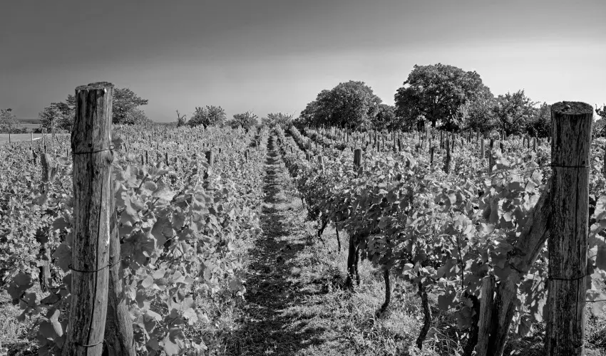 Fried Kastély Hotel Simontornya - Tavaszi wellness kiruccanás (min. 2 éj)