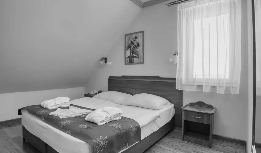 Fried Kastély Hotel Simontornya - Tavaszi wellness kiruccanás (min. 2 éj)