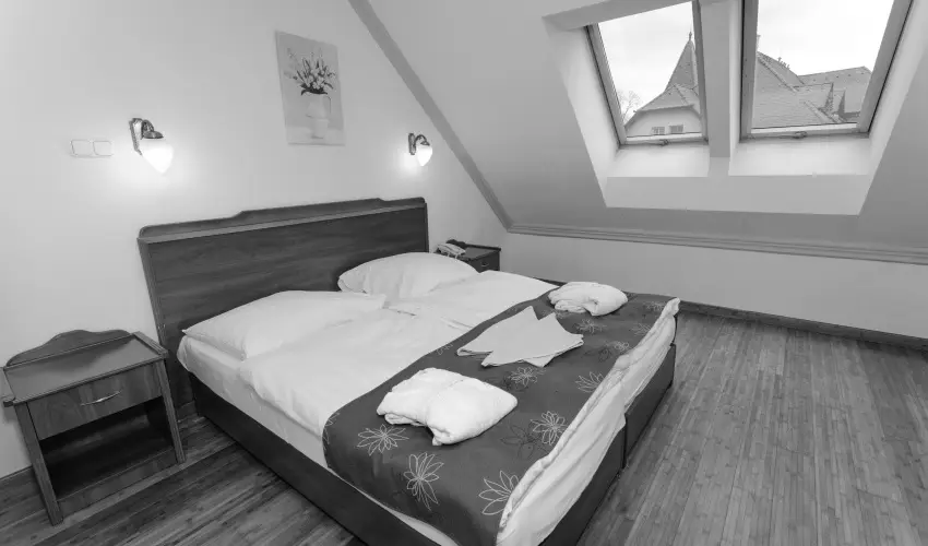 Fried Kast�ly Hotel Simontornya - Nyugd�jas kedvezm�nyes �rak f�lpanzi�s ell�t�ssal (1 �jt�l)