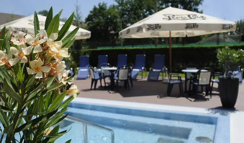 Garden Hotel Wellness & Konferencia Szolnok - Szlls flpanzival s wellness hasznlattal (min. 2 j)