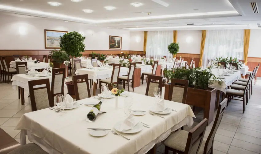Garden Hotel Wellness & Konferencia Szolnok - Szlls flpanzival s wellness hasznlattal (min. 2 j)