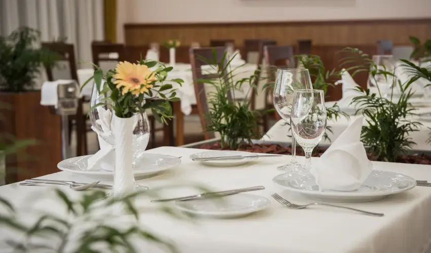 Garden Hotel Wellness & Konferencia Szolnok - Szlls flpanzival s wellness hasznlattal (min. 2 j)